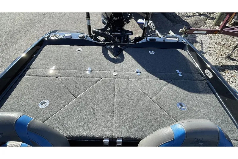 Slide: The Image of Bass Cat Eyra 2021 - 20