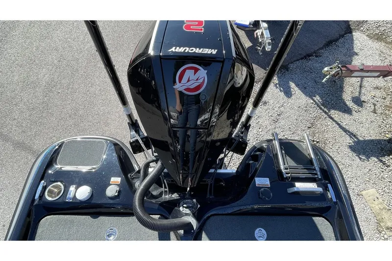 Slide: The Image of Bass Cat Eyra 2021 - 21