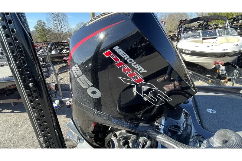 Slide: The Image of Bass Cat Eyra 2021 - 22