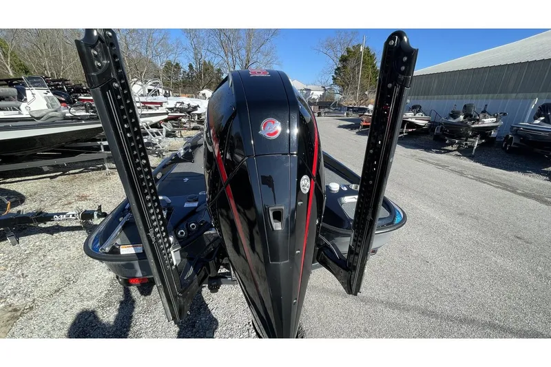 Slide: The Image of Bass Cat Eyra 2021 - 23