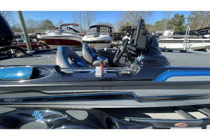 Slide: The Image of Bass Cat Eyra 2021 - 4