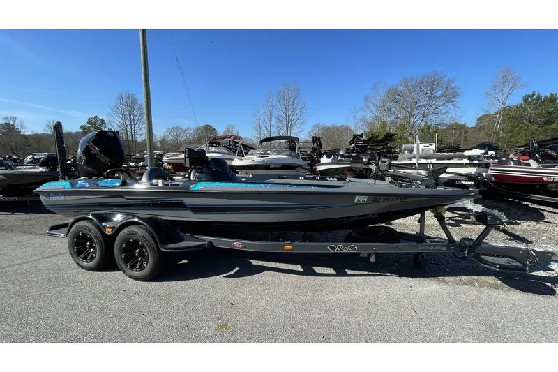 Slide: The Image of Bass Cat Eyra 2021 - 7