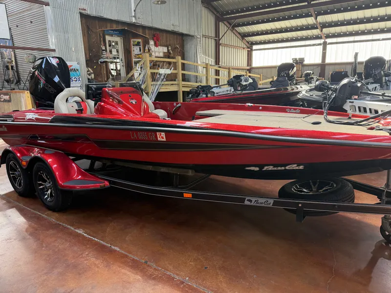 The Image of Bass Cat Pantera II 2023 - 1