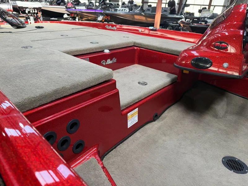 Slide: The Image of Bass Cat Pantera II 2023 - 10