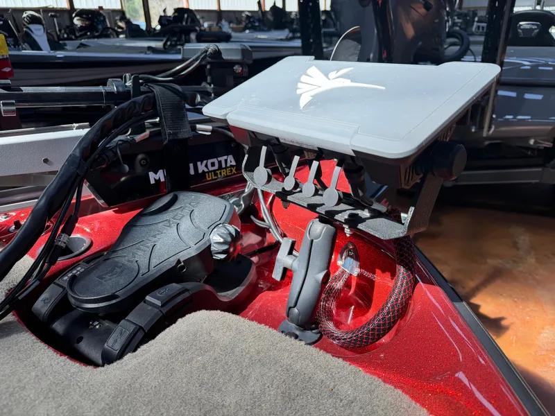 Slide: The Image of Bass Cat Pantera II 2023 - 5