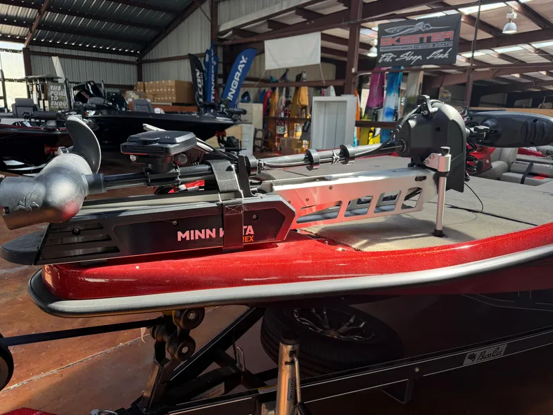 Slide: The Image of Bass Cat Pantera II 2023 - 6