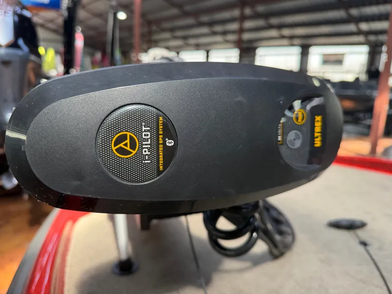 Slide: The Image of Bass Cat Pantera II 2023 - 7