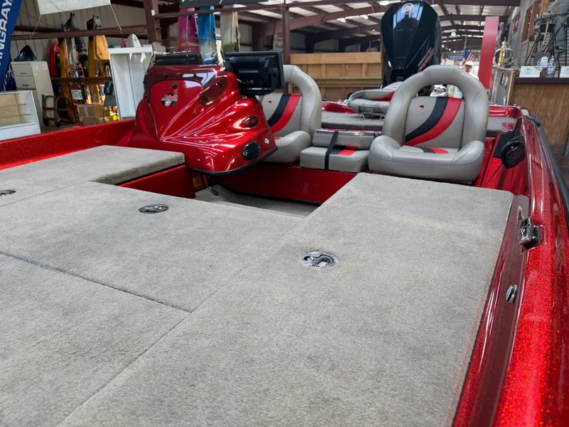 Slide: The Image of Bass Cat Pantera II 2023 - 8