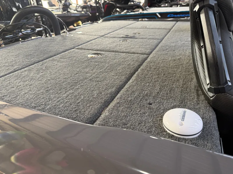 Slide: The Image of Skeeter FX20 Limited Edition 2025 - 17