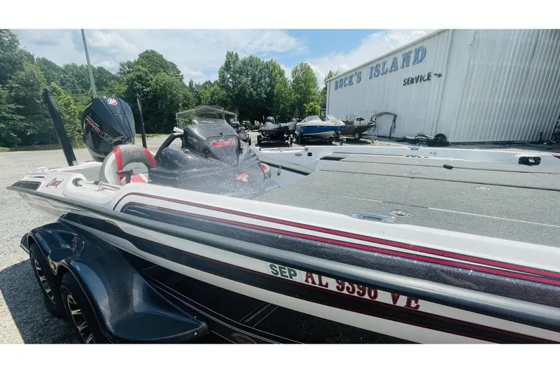 The Image of Bass Cat Caracal 2021 - 1