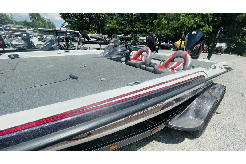 Slide: The Image of Bass Cat Caracal 2021 - 3