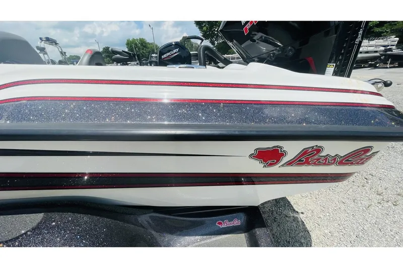 Slide: The Image of Bass Cat Caracal 2021 - 4