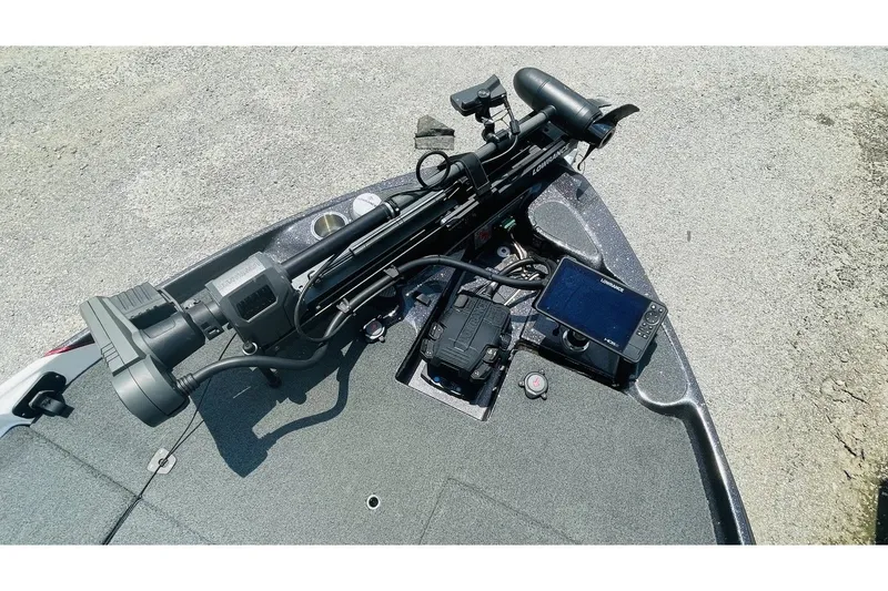 Slide: The Image of Bass Cat Caracal 2021 - 6