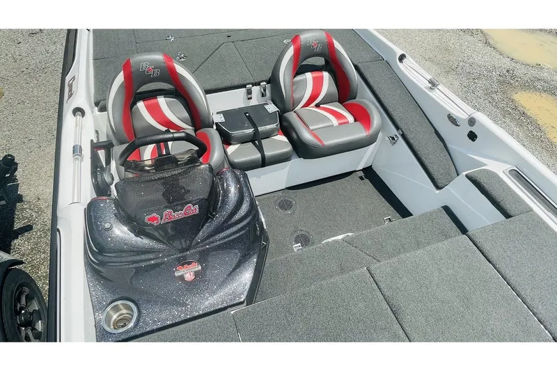 Slide: The Image of Bass Cat Caracal 2021 - 9