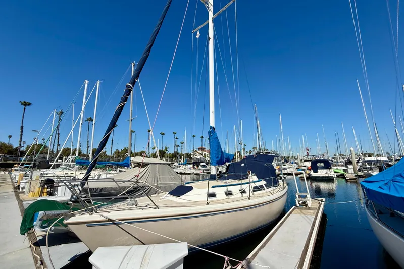 The Image of 1988 Catalina 34 sailboat docked in a marina under clear blue skies. - 1