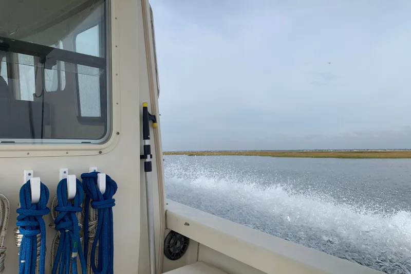 Slide: The Image of 2007 Rosborough RF-246 Sedan Cruiser on water, with blue ropes and scenic view. - 10