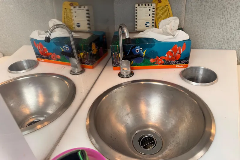 Slide: The Image of Stainless steel sink with "Finding Nemo" tissue box on a white countertop. - 33