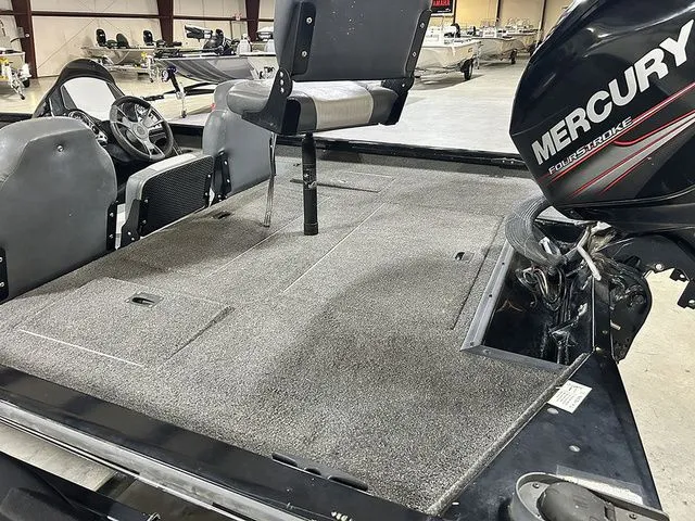 Slide: The Image of Lowe Stinger 175C 2019 - 6