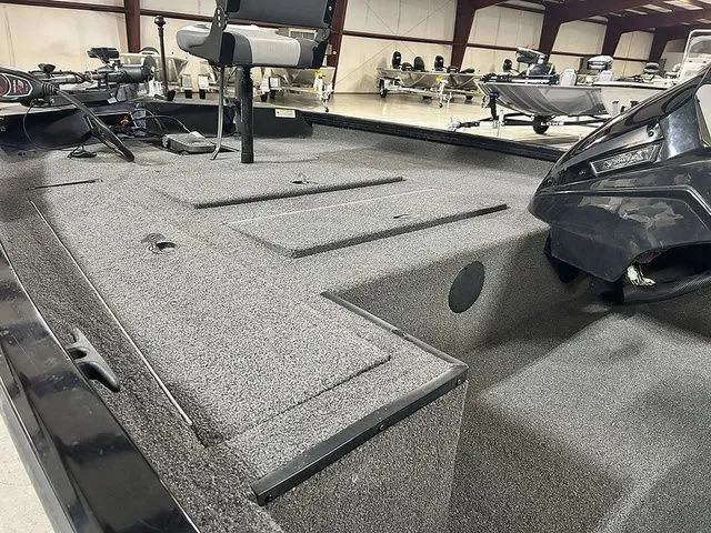 Slide: The Image of Lowe Stinger 175C 2019 - 7