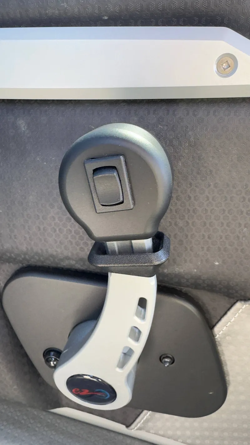 Slide: The Image of Centurion Ri245 2024 - 19