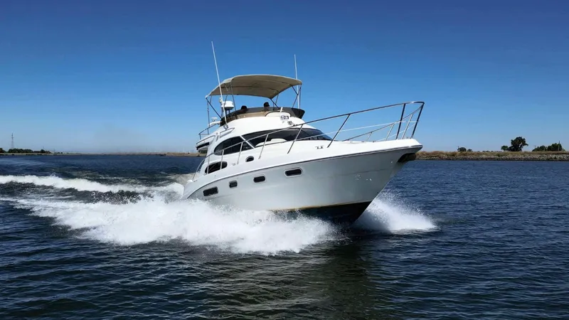 The Image of Sealine F37 2000 - undefined