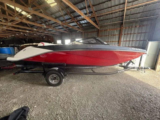 The Image of Scarab 215 ID 2018 - 1