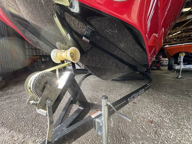 Slide: The Image of Scarab 215 ID 2018 - 17