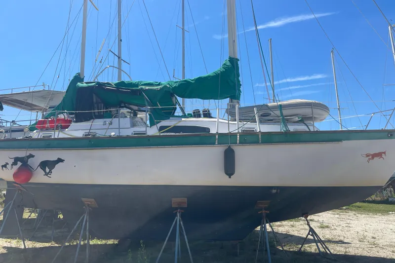 The Image of 1983 Irwin 37 Mk V sailboat on stands, green cover, dog decals, sunny day. - 0