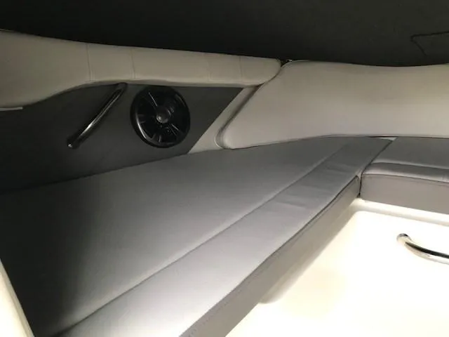 Slide: The Image of Sea Ray SPX 190 2020 - 14