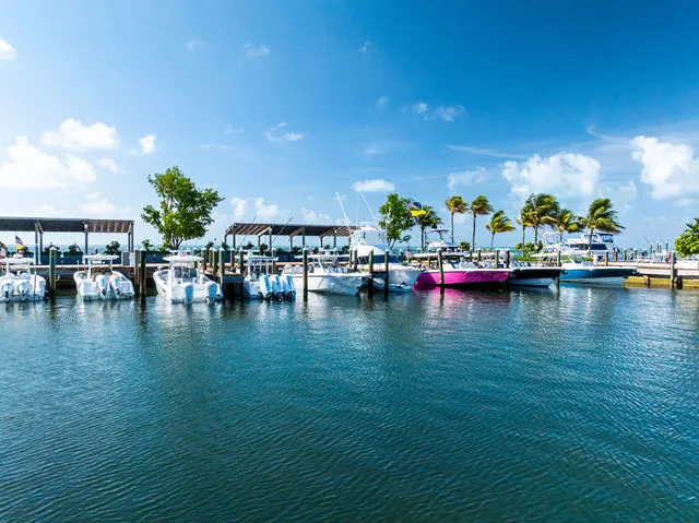 Slide: The Image of 2025 Everglades 273 Center Console boat with lifetime hull warranty sticker. - 18