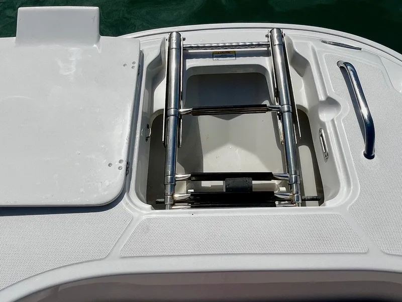 Slide: The Image of Boston Whaler 270 Dauntless 2020 - 15