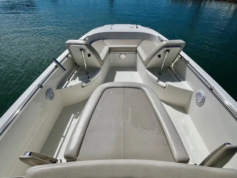 Slide: The Image of Boston Whaler 270 Dauntless 2020 - 17
