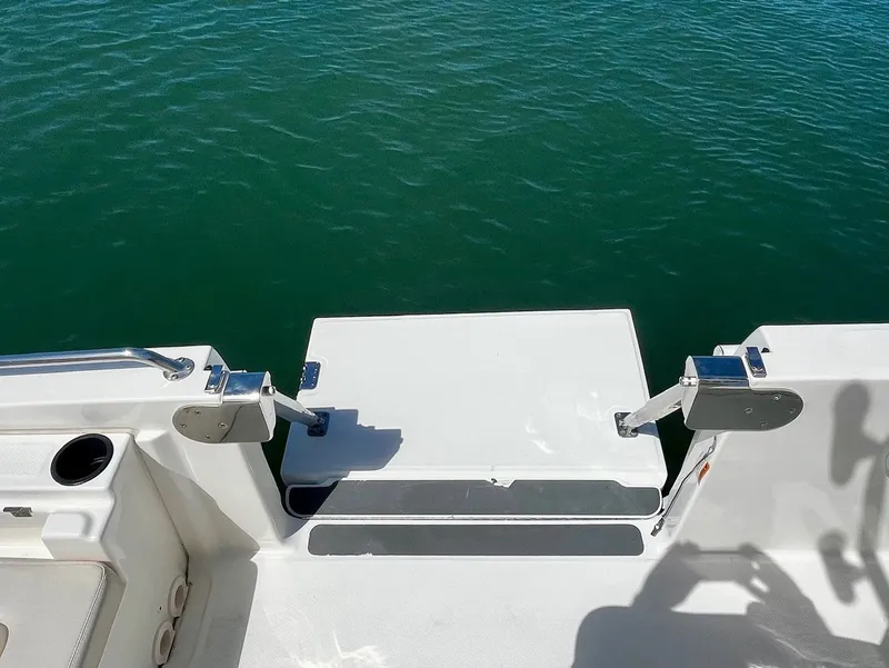 Slide: The Image of Boston Whaler 270 Dauntless 2020 - 20