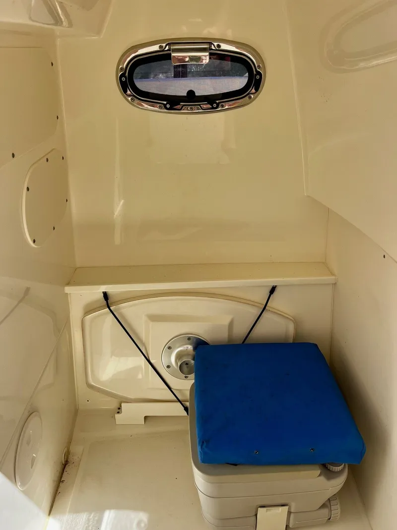 Slide: The Image of Boston Whaler 270 Dauntless 2020 - 24