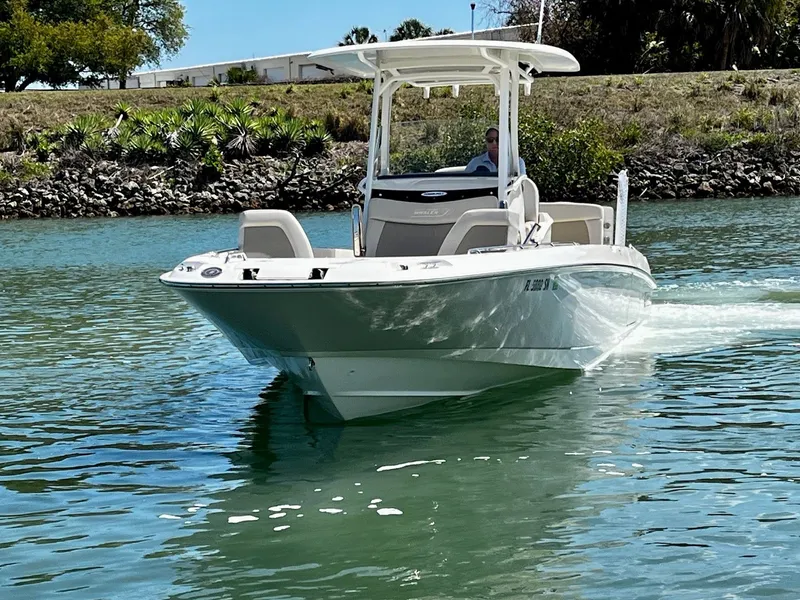 Slide: The Image of Boston Whaler 270 Dauntless 2020 - 5