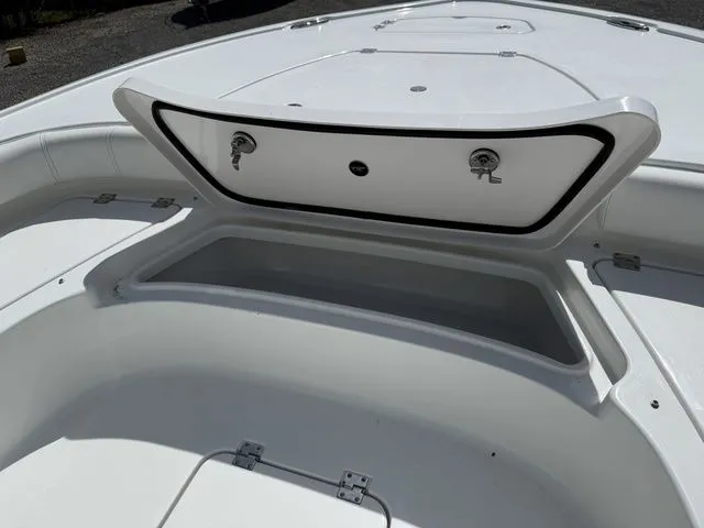 Slide: The Image of Tidewater Carolina Bay 2500 2026 - 19