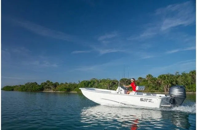 The Image of Carolina 19 SWS 2018 - 1