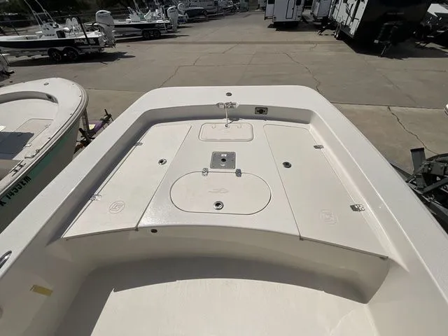 Slide: The Image of Carolina 19 SWS 2018 - 10