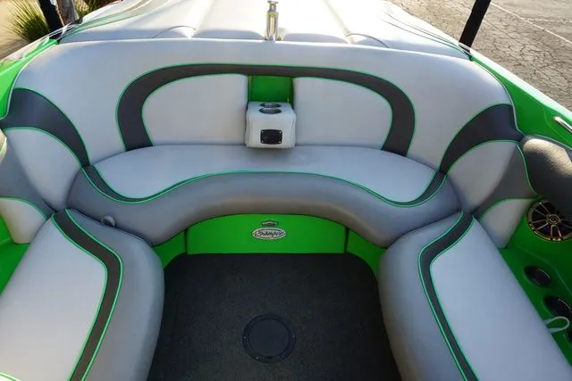 Slide: The Image of Sanger V237 2010 - 13