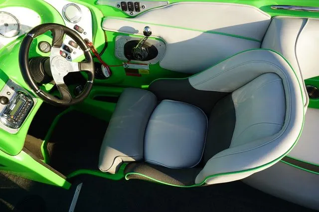 Slide: The Image of Sanger V237 2010 - 15