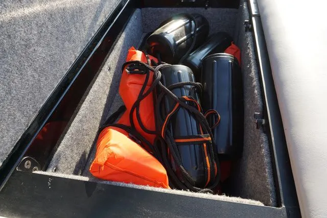 Slide: The Image of Sanger V237 2010 - 16