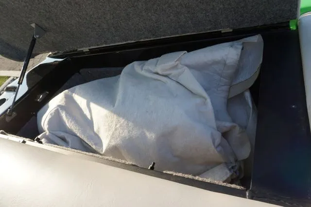 Slide: The Image of Sanger V237 2010 - 17