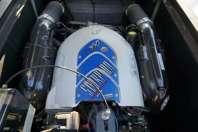 Slide: The Image of Sanger V237 2010 - 18