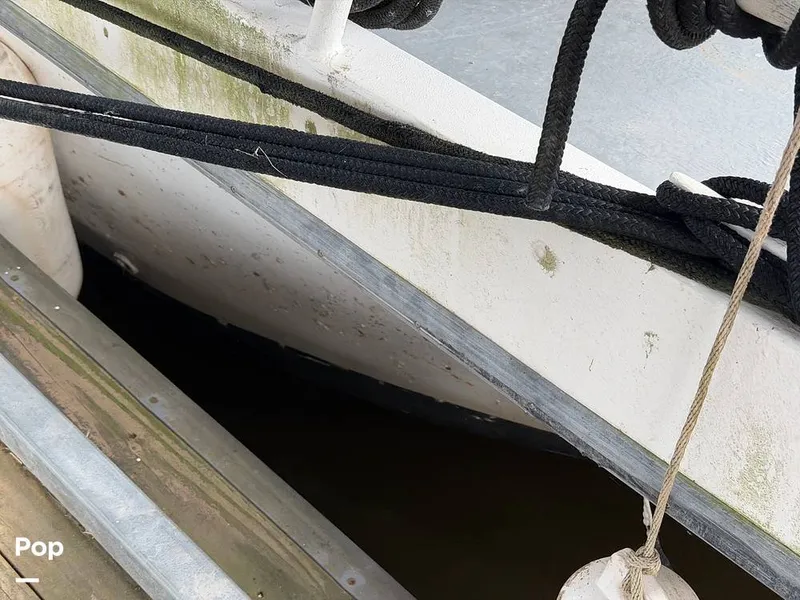 Slide: The Image of Hilburn 60 1987 - 16242461