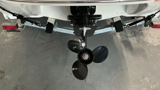 Slide: The Image of Stingray 188LE 2015 - 4