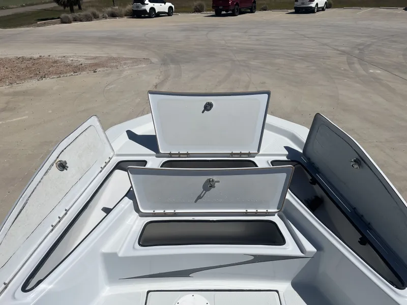 Slide: The Image of Blue Wave 1900STL 2021 - 12