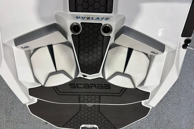 Slide: The Image of Scarab 165 ID 2023 - 13