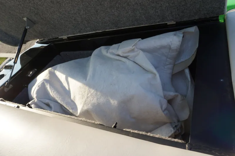 Slide: The Image of Sanger V237 2010 - 21