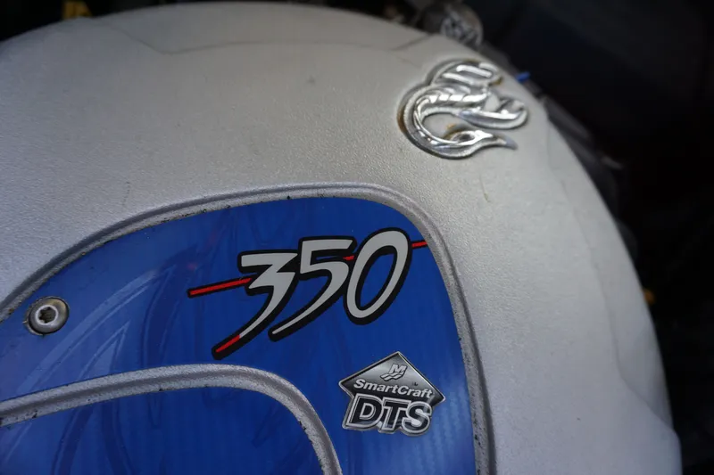 Slide: The Image of Sanger V237 2010 - 22