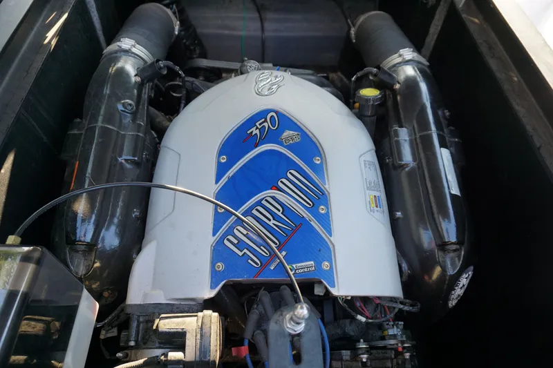 Slide: The Image of Sanger V237 2010 - 7